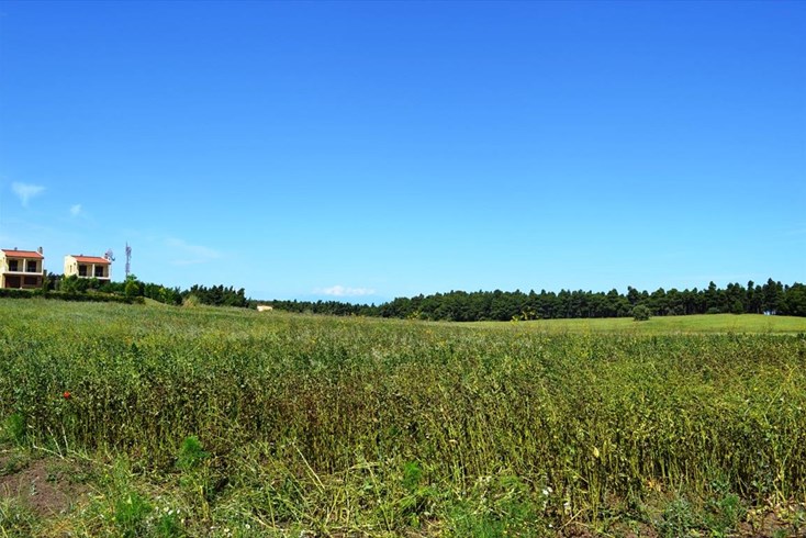 Realty photo 2