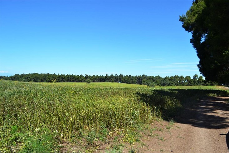 Realty photo 1