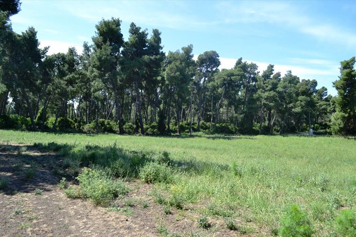 Realty photo 3