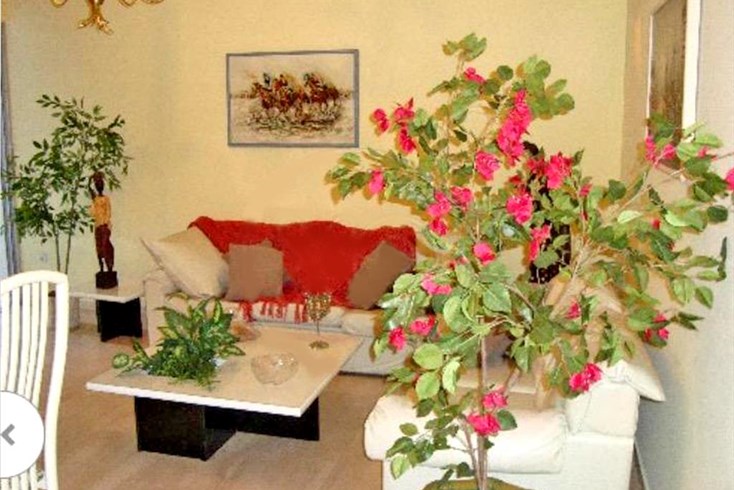 Realty photo 2