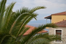 Property 11000 photo 9