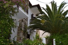 Property 11000 photo 5