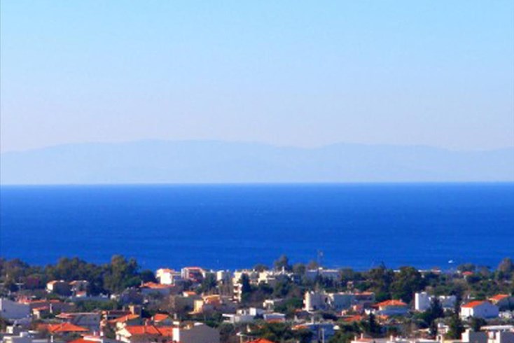 Realty photo 2