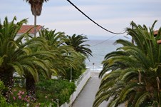 Property 11032 photo 2