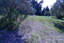 Property 11043 photo 3