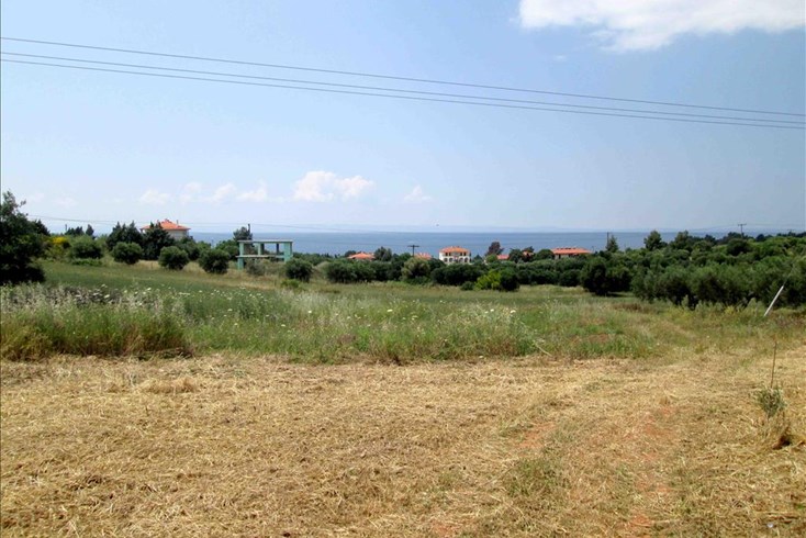 Realty photo 3