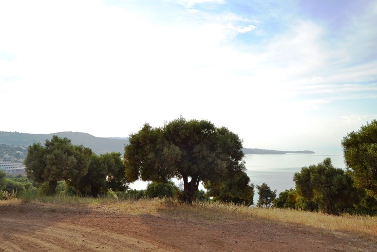 Realty photo 2