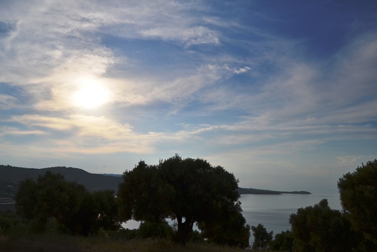 Realty photo 3
