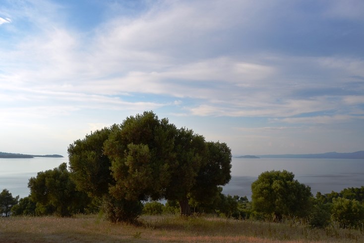 Realty photo 1
