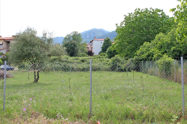 Realty photo 2