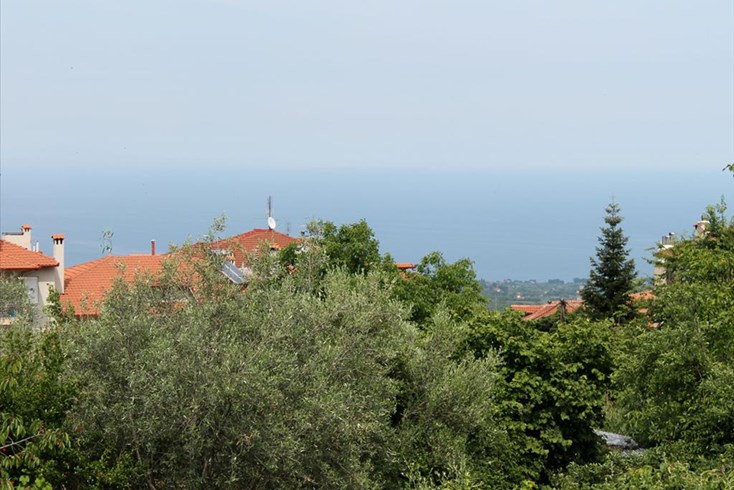 Realty photo 1