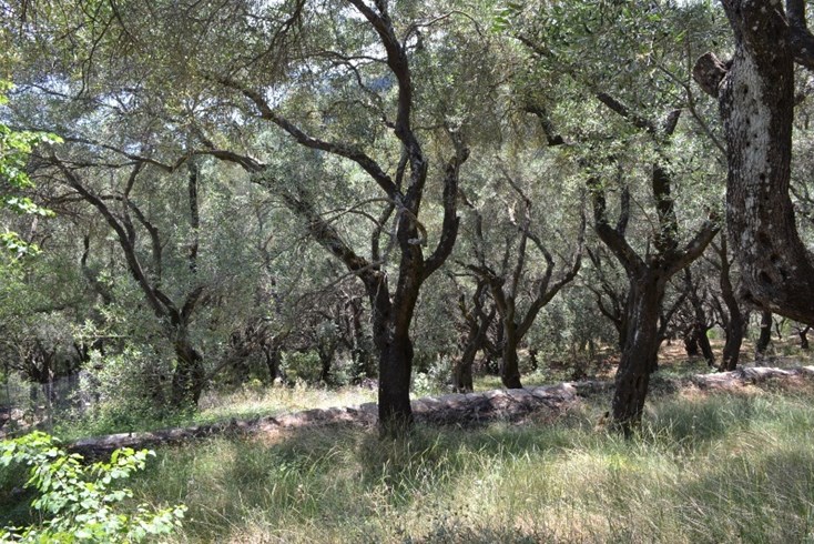 Realty photo 2