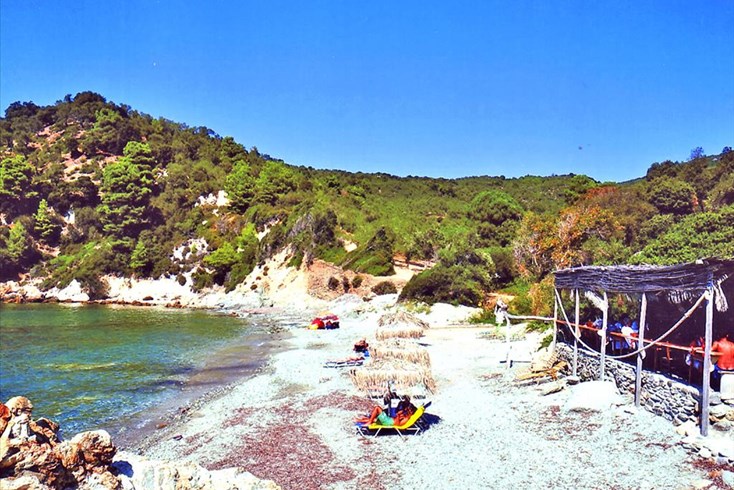 Realty photo 3