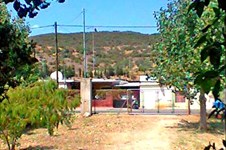 Property 11184 photo 3