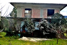 Property 11184 photo 1