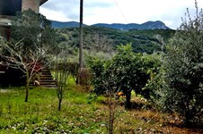 Property 11184 photo 2