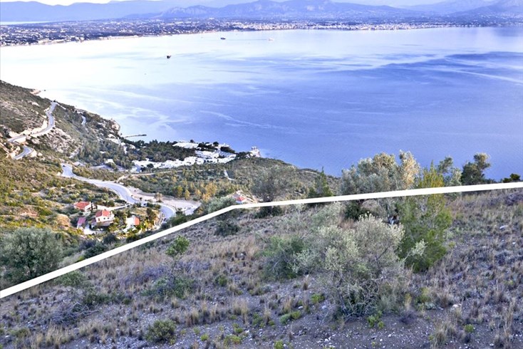 Realty photo 1