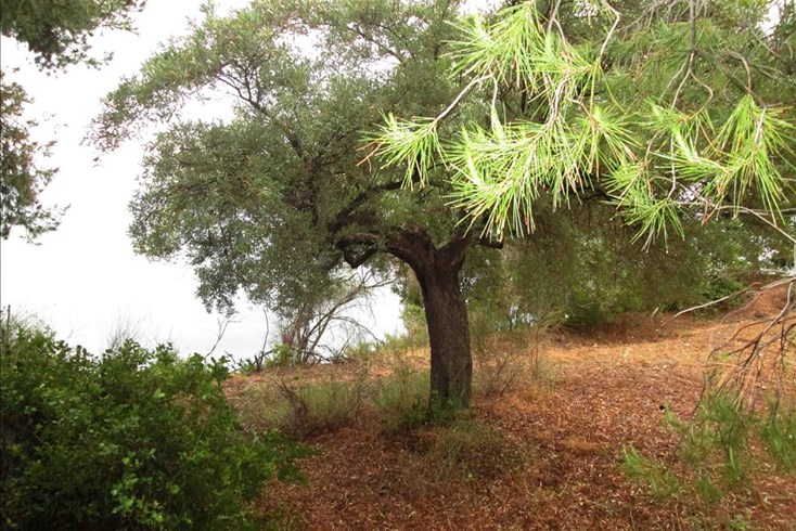 Realty photo 3