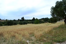 Property 11240 photo 1