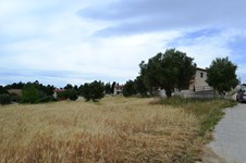 Property 11240 photo 5