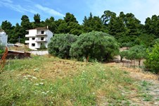 Property 11243 photo 2