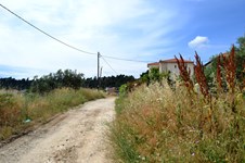 Property 11243 photo 3