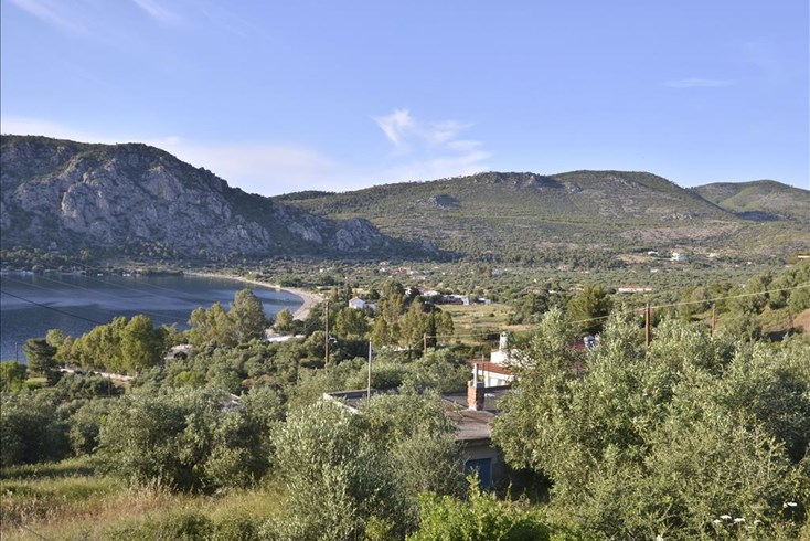 Realty photo 1