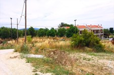 Property 11251 photo 5