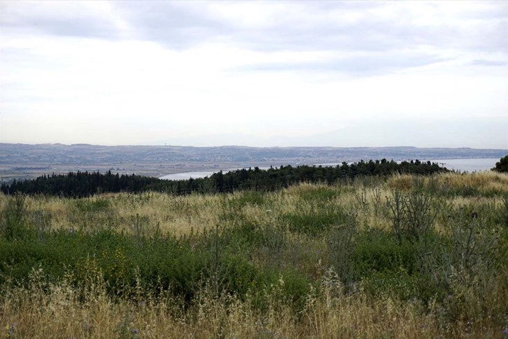 Realty photo 3