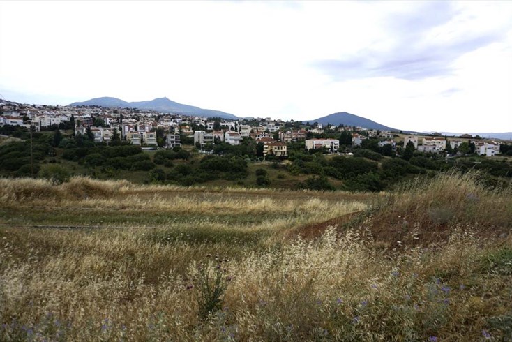 Realty photo 1