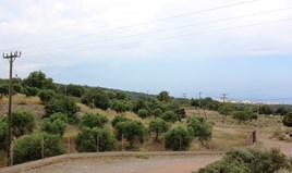 Zemljište 34750 m² na Kritu
