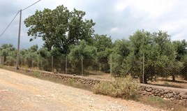 Land 4200 m² auf Kreta
