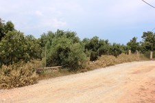 Property 11276 photo 2