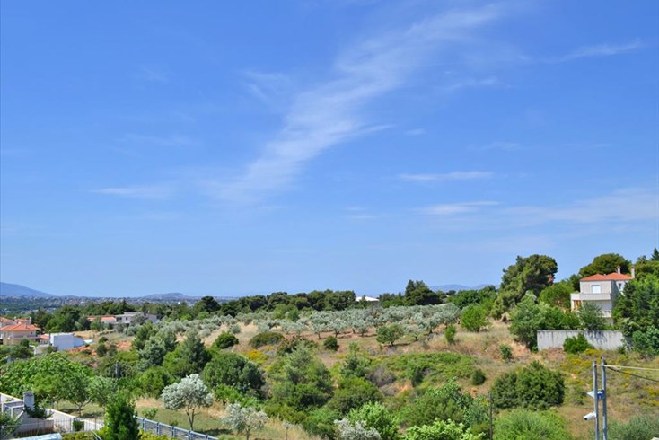 Realty photo 2