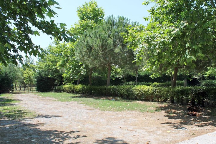 Realty photo 2