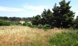 Zemljište 1500 m² na Sitoniji (Halkidiki)