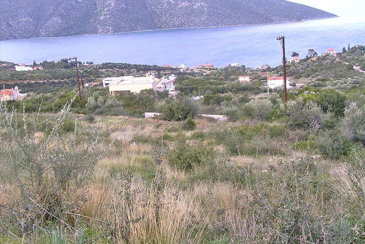 Realty photo 2