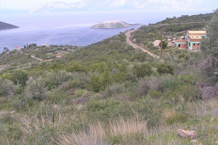 Realty photo 1