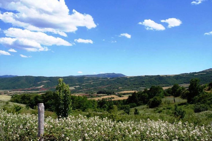 Realty photo 1