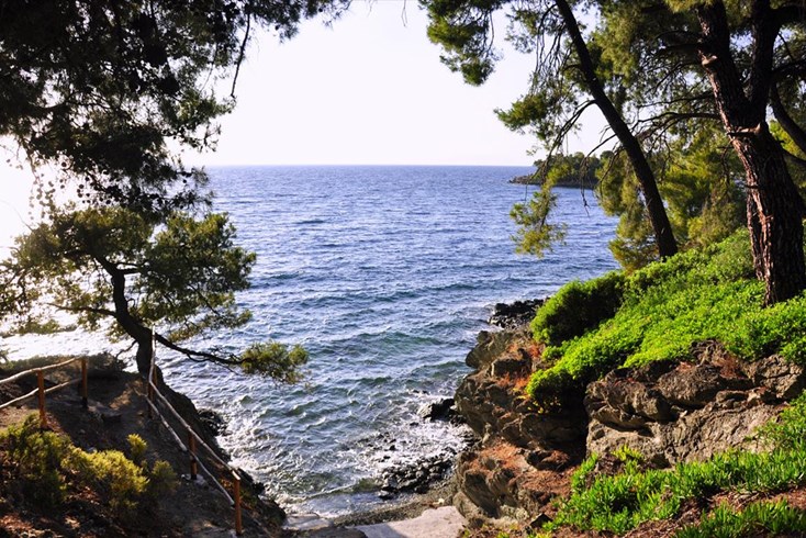 Realty photo 1