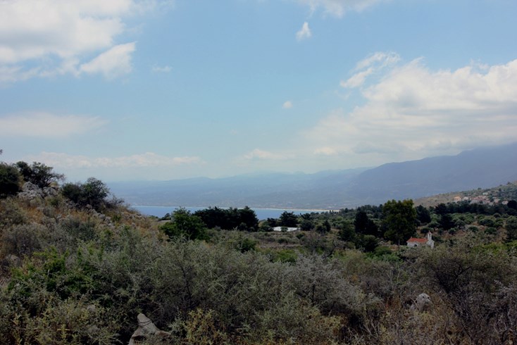 Realty photo 1