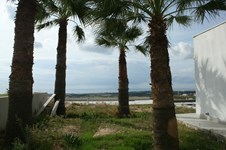 Property 11392 photo 5