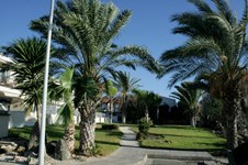 Property 11394 photo 5