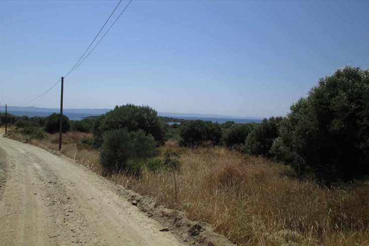 Realty photo 2