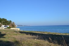 Property 114 photo 2