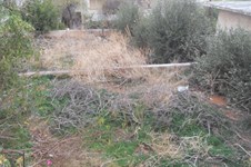 Property 1141 photo 1