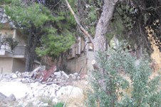 Property 1141 photo 2