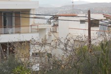 Property 1141 photo 4