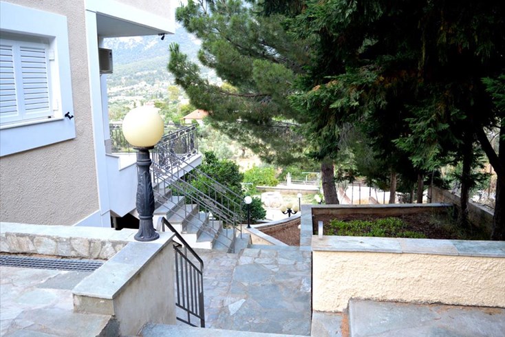 Realty photo 3