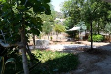 Property 11412 photo 19